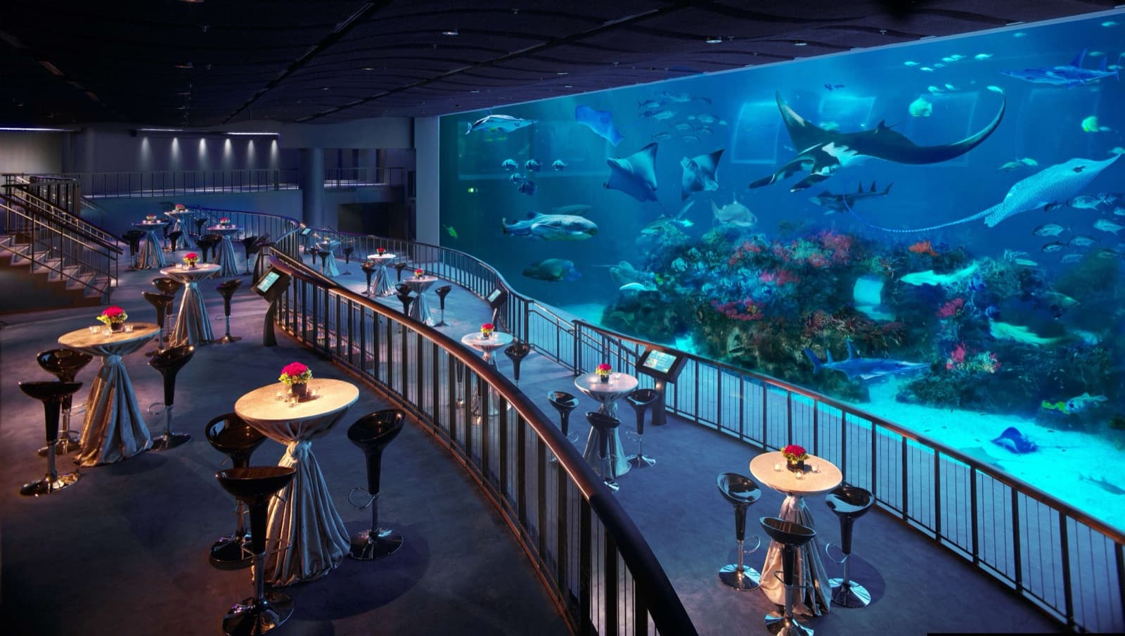 S.E.A. Aquarium