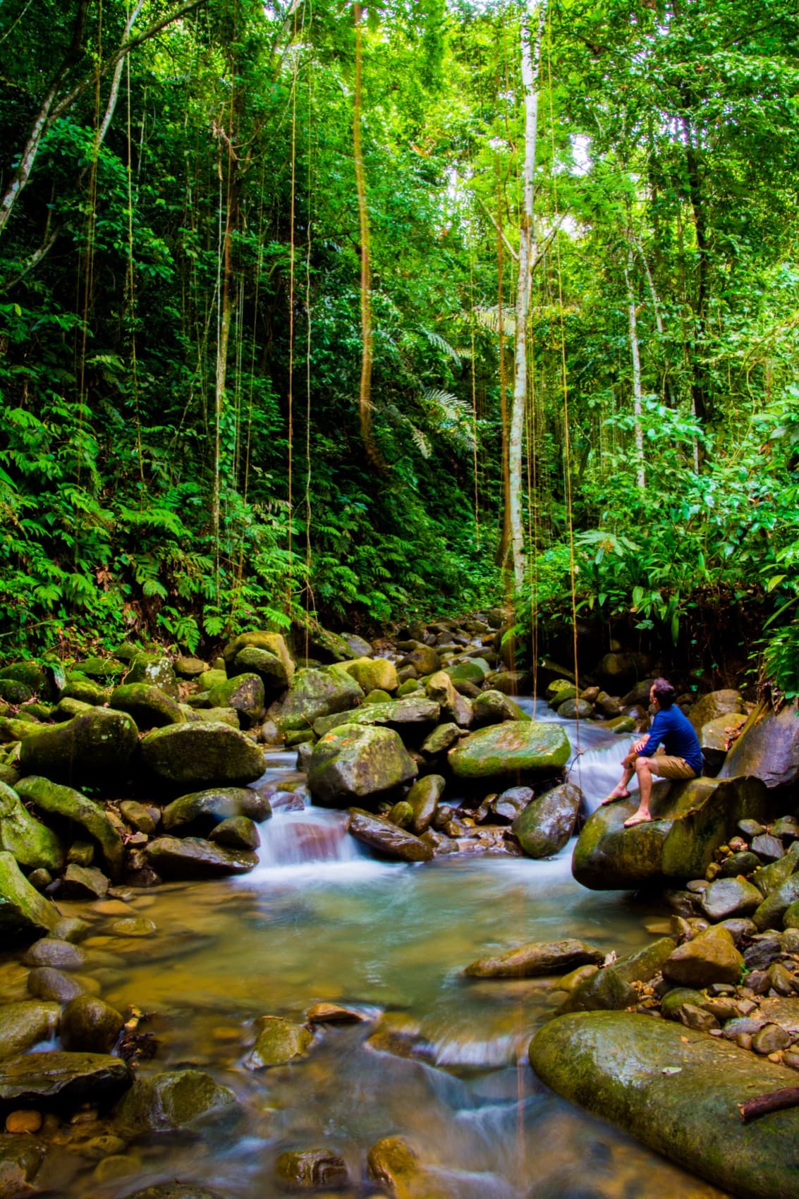 Sabah, 1