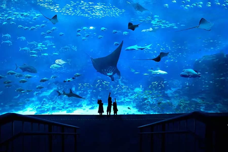 SEA Aquarium