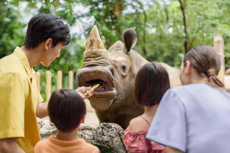 Singapore Zoo