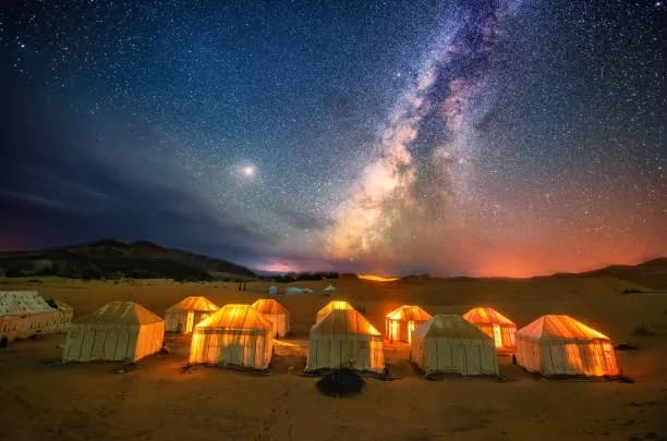Night Safari