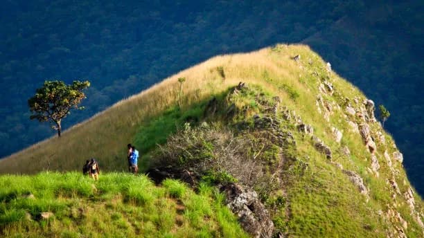 Trek the Southern Ridges-things to do in Singapore