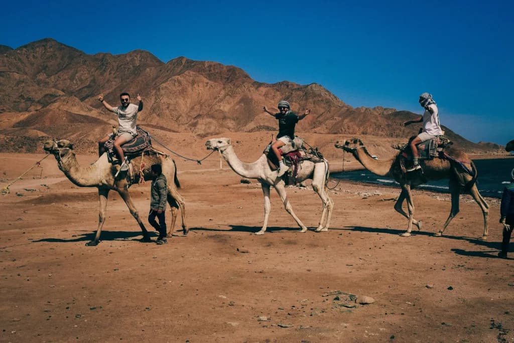Camel Riding and Bedouin Culture in desert safari dubai