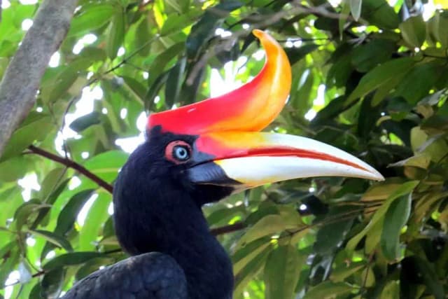 Bird Park