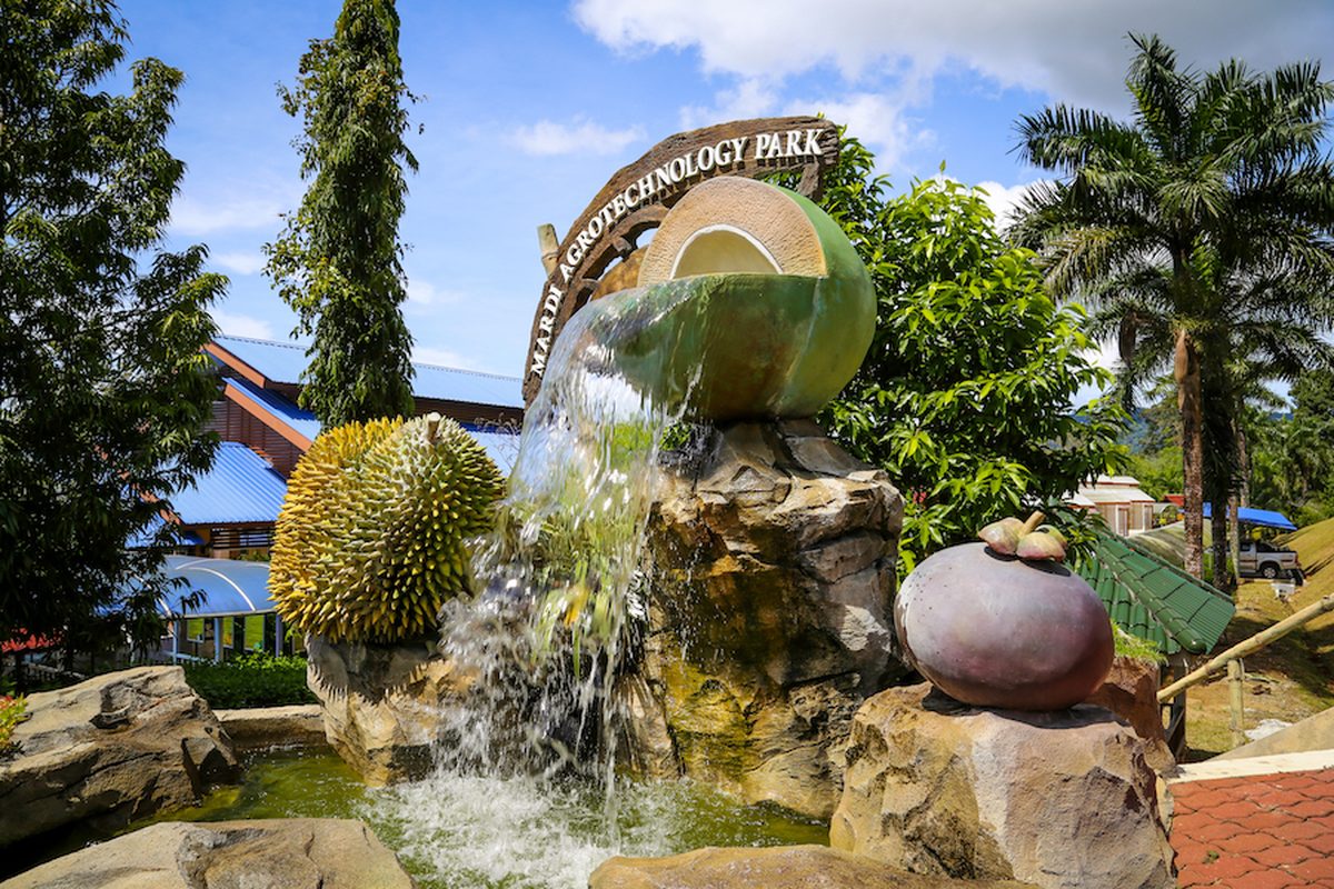 Excursions in Langkawi